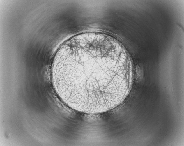 X0000103901356200810031139