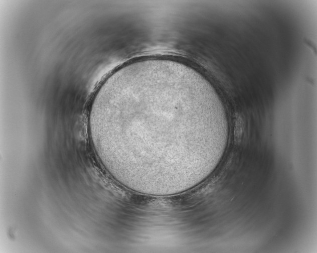 X0000103901358200810031139