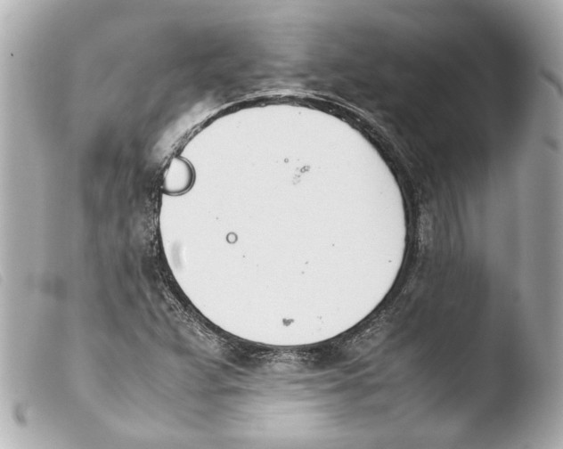 X0000103901359200810031139