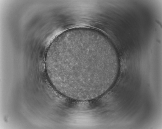 X0000103901363200810031139