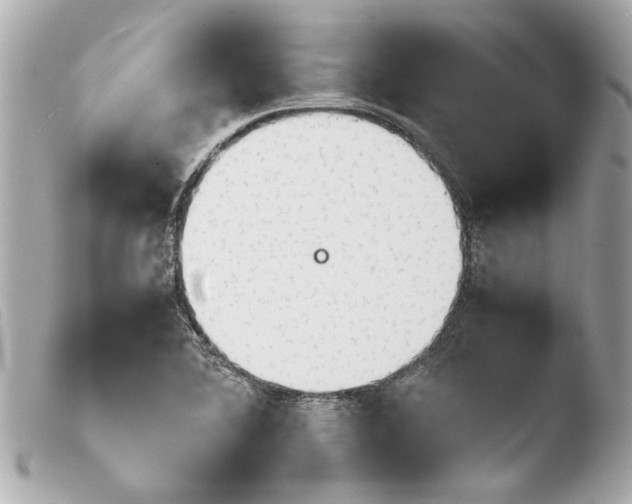 X0000103901364200810031139