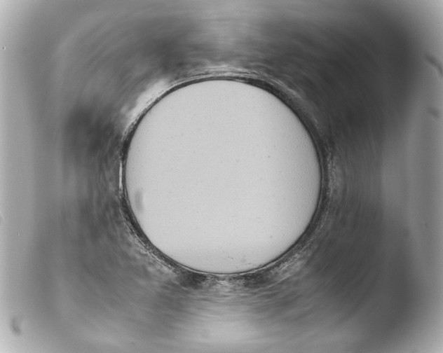 X0000103901365200810031139