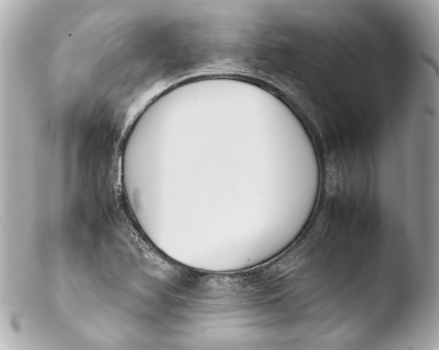 X0000103901366200810031139