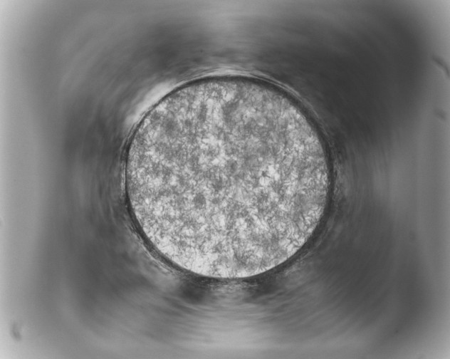 X0000103901367200810031139