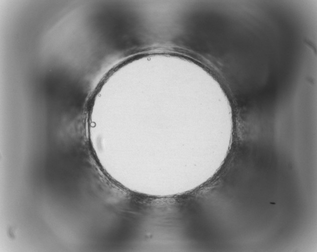 X0000103901368200810031139