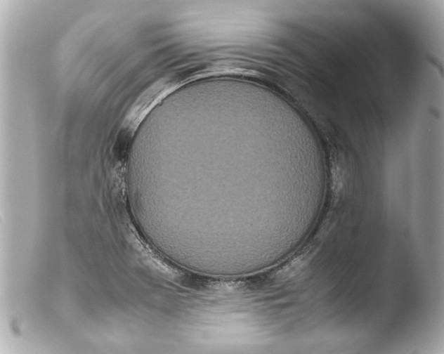 X0000103901369200810031139