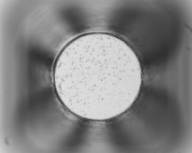 X0000103901372200810031139