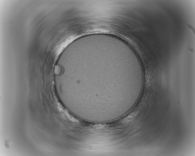 X0000103901373200810031139