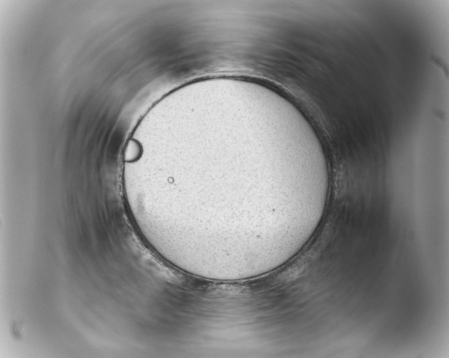 X0000103901374200810031139