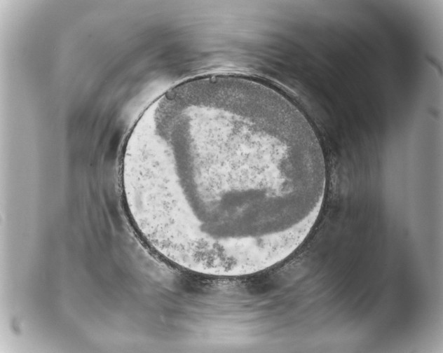 X0000103901375200810031139