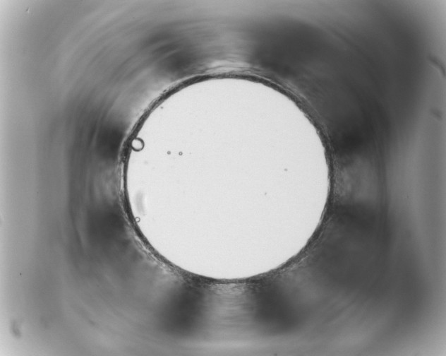 X0000103901376200810031139