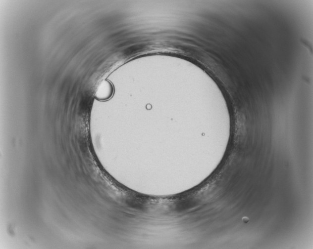 X0000103901377200810031139