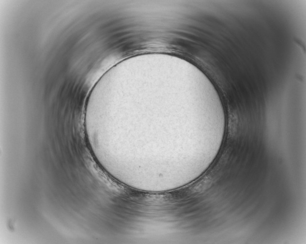 X0000103901378200810031139