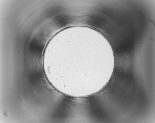 X0000103901380200810031139