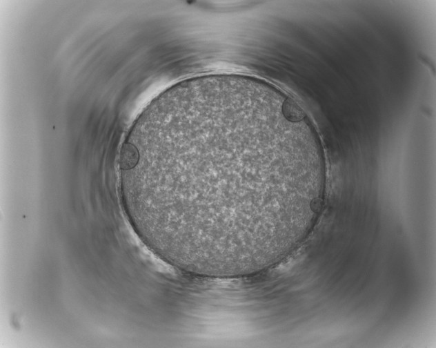 X0000103901381200810031139