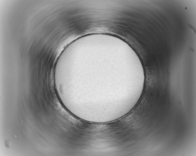 X0000103901382200810031139