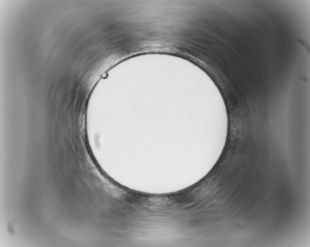 X0000103901383200810031139