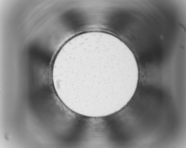 X0000103901384200810031139