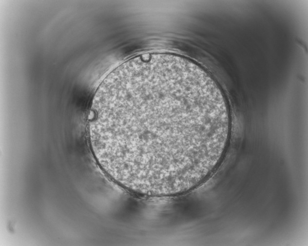 X0000103901385200810031139