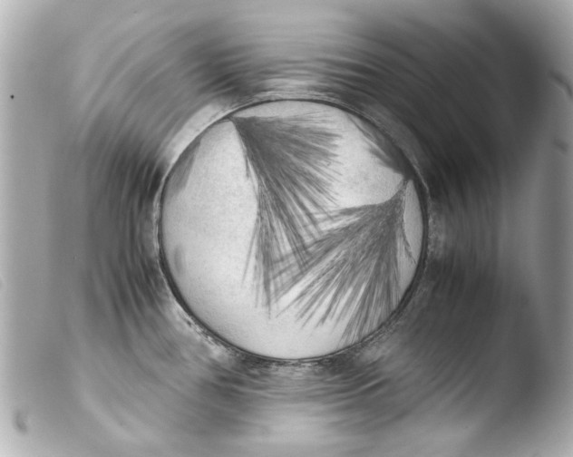 X0000103901386200810031139