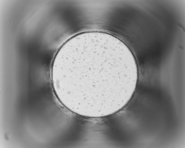 X0000103901388200810031139