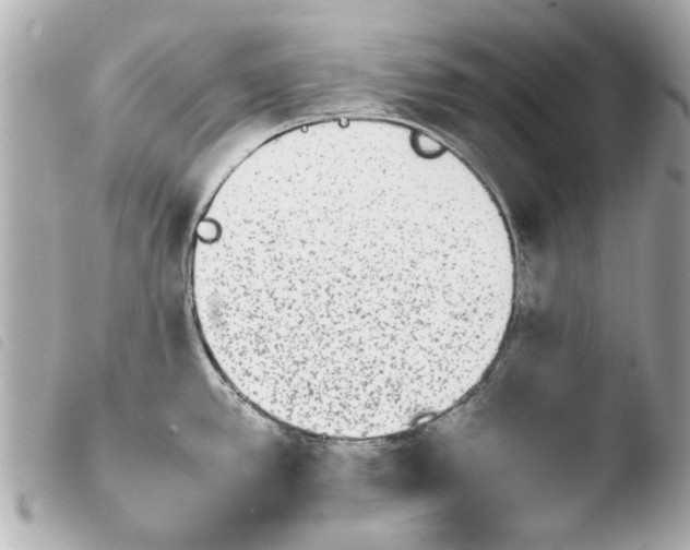 X0000103901389200810031139