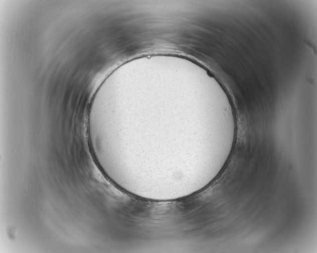 X0000103901390200810031138