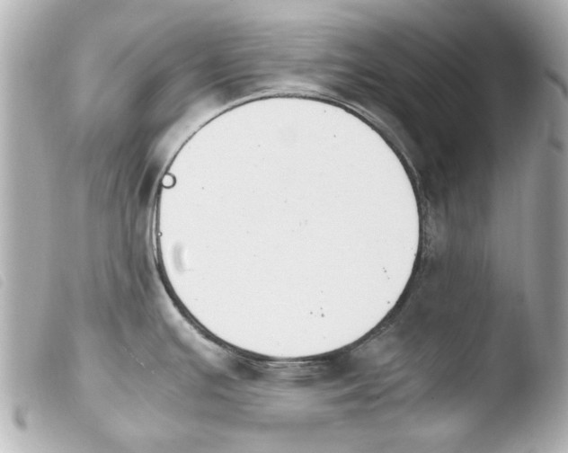 X0000103901391200810031138