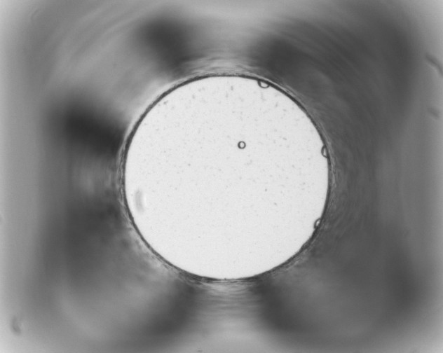 X0000103901392200810031138