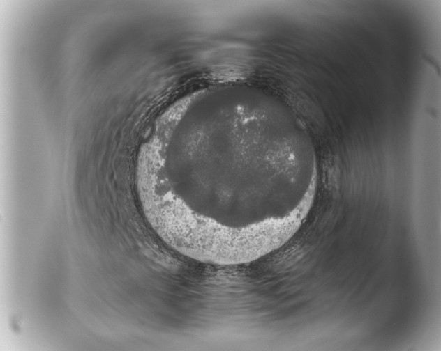 X0000103901393200810031138