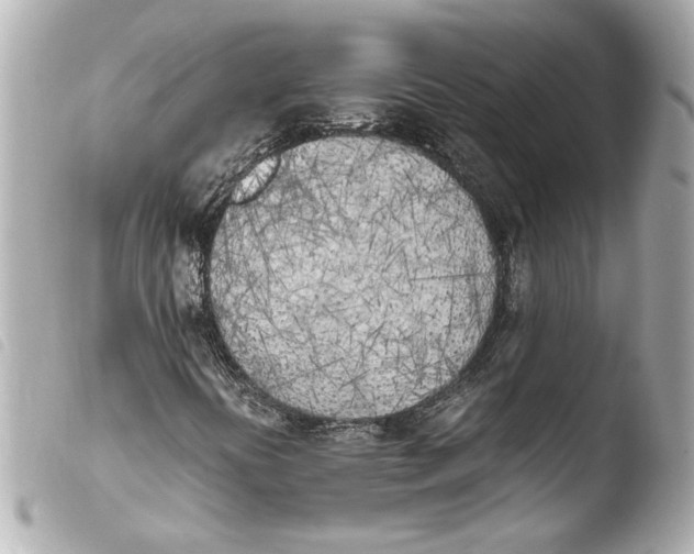 X0000103901394200810031138