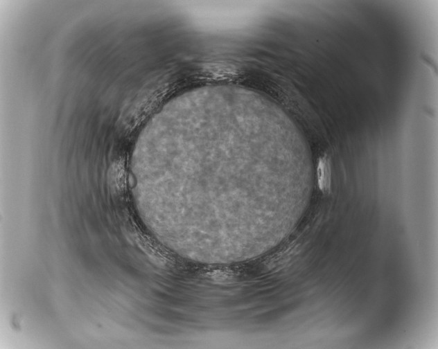 X0000103901395200810031138