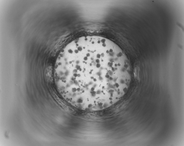 X0000103901396200810031138