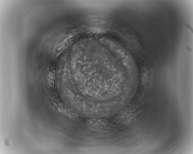 X0000103901397200810031138