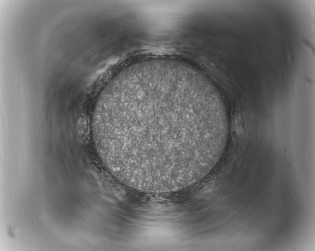 X0000103901398200810031138