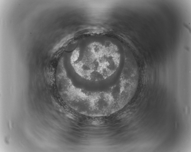 X0000103901399200810031138