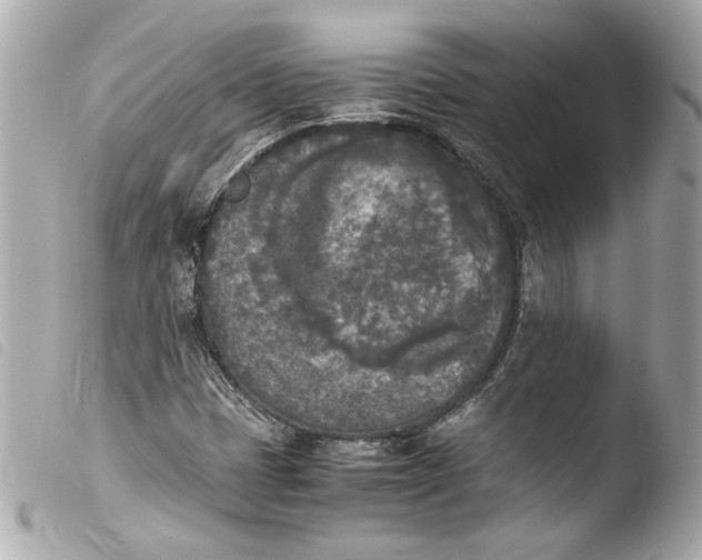 X0000103901401200810031138