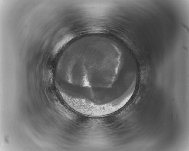 X0000103901402200810031138