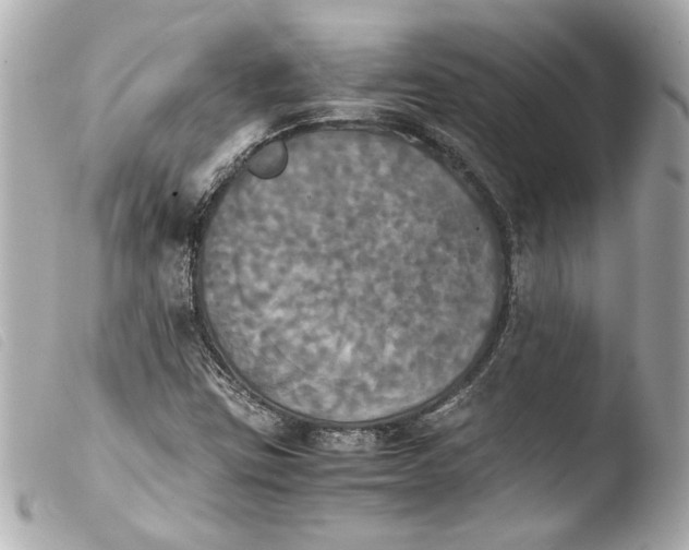 X0000103901403200810031138