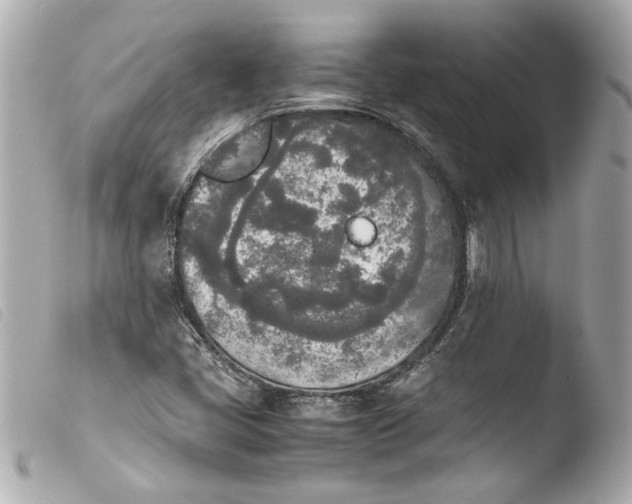 X0000103901405200810031138