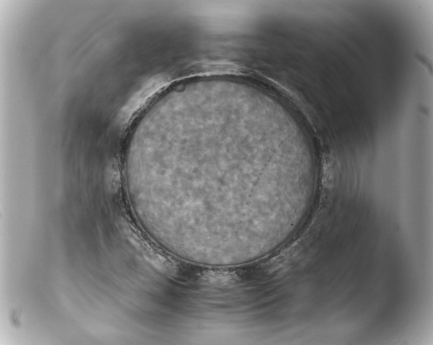 X0000103901407200810031138