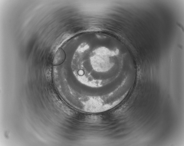 X0000103901409200810031138