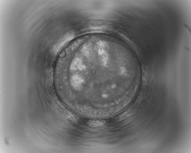 X0000103901411200810031138