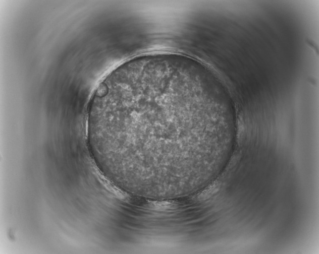 X0000103901413200810031138