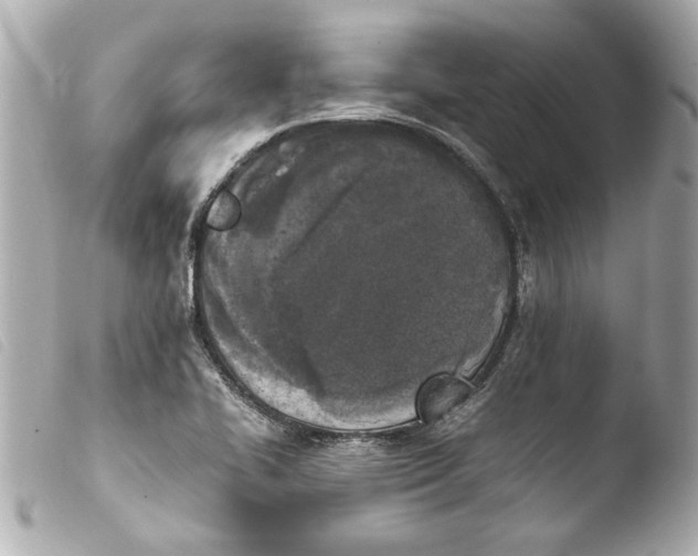 X0000103901414200810031138