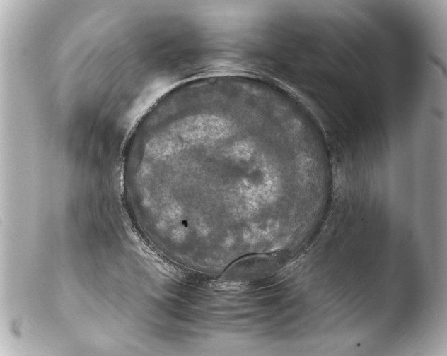 X0000103901415200810031138