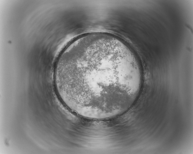 X0000103901416200810031138