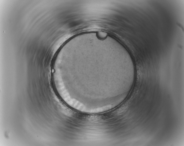 X0000103901418200810031138