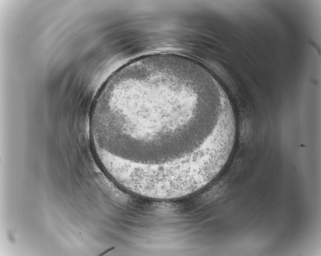 X0000103901420200810031138