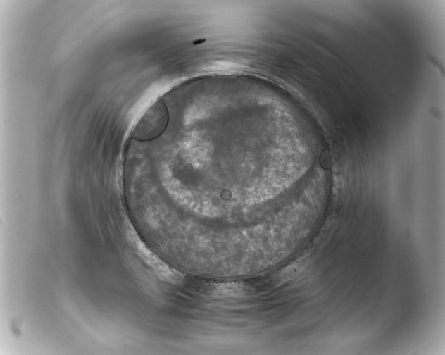 X0000103901421200810031138